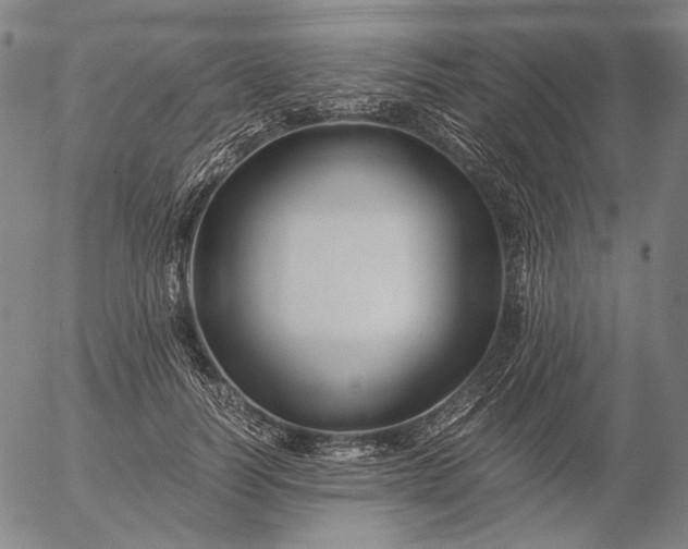 X0000056020746200509021755