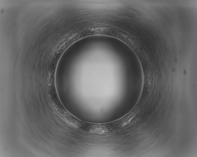 X0000056020750200509021755