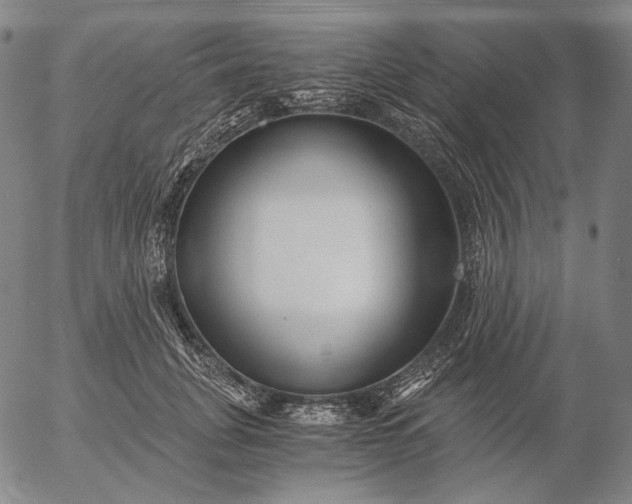 X0000056020751200509021755