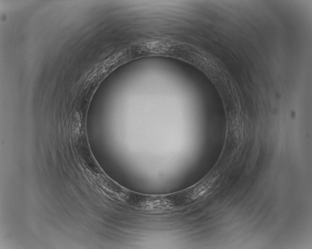 X0000056020752200509021755