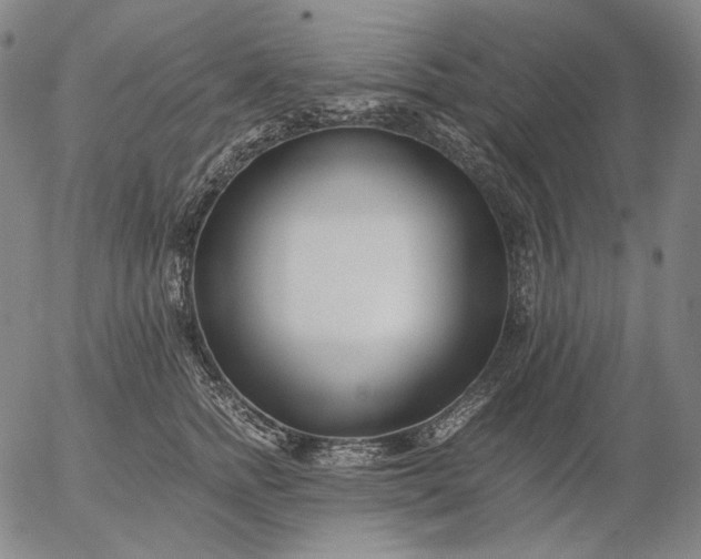 X0000056020758200509021755