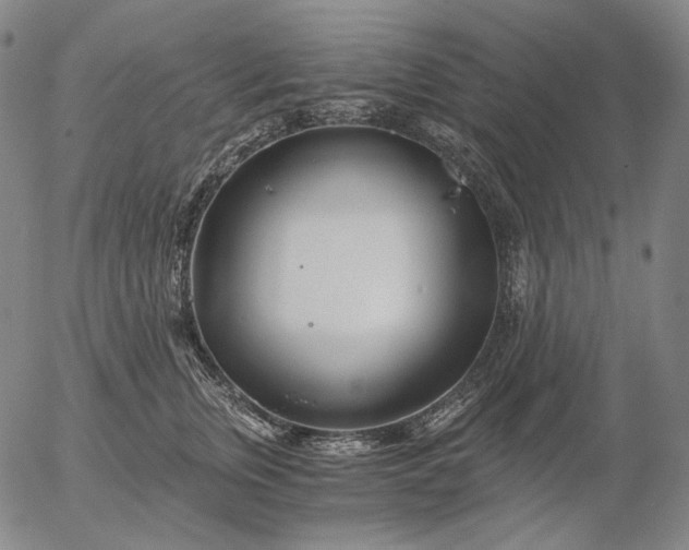 X0000056020759200509021755