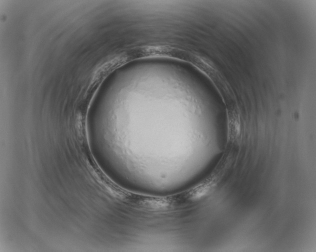 X0000056020765200509021755