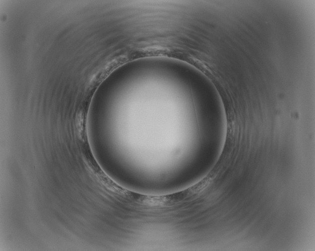X0000056020767200509021755