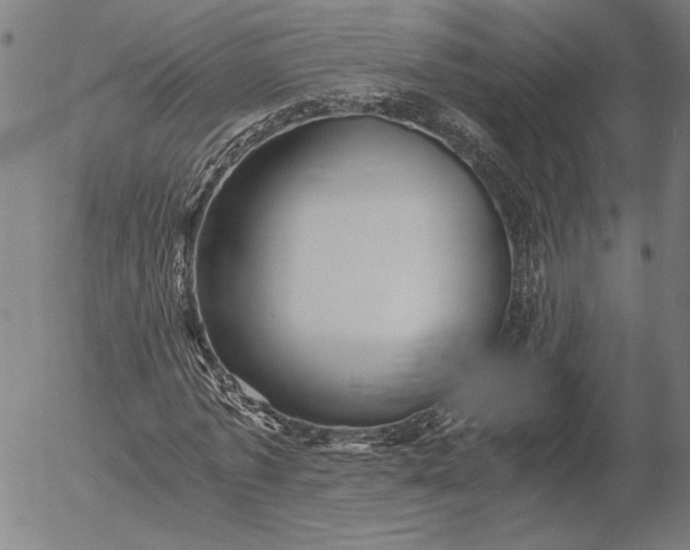 X0000056020773200509021754