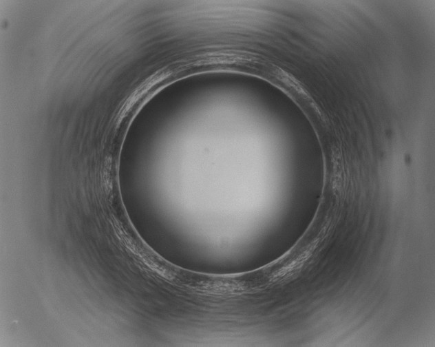 X0000056020786200509021754