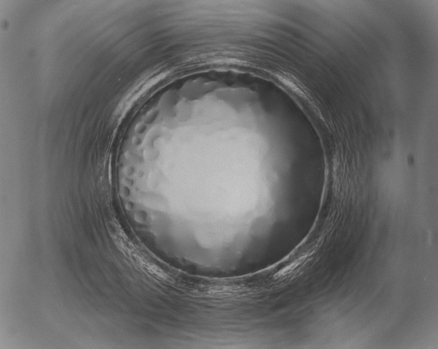 X0000056020790200509021754