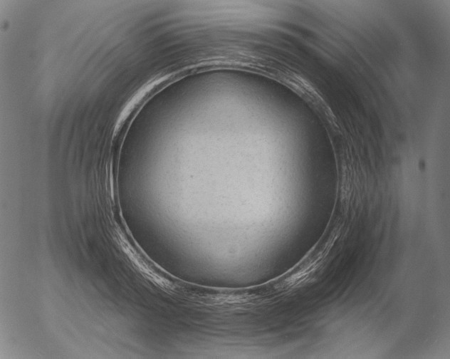 X0000056020796200509021754