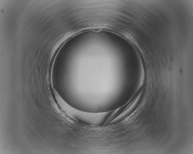 X0000056020797200509021754