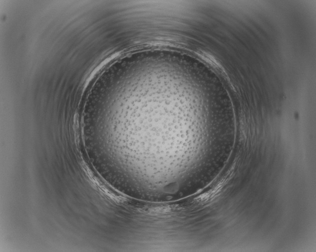 X0000056020798200509021754