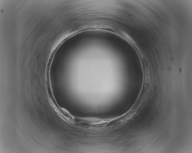 X0000056020803200509021754