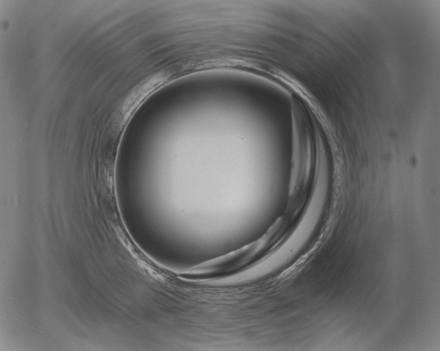 X0000056020809200509021754