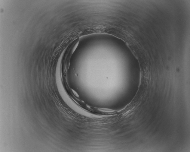 X0000056020818200509021753