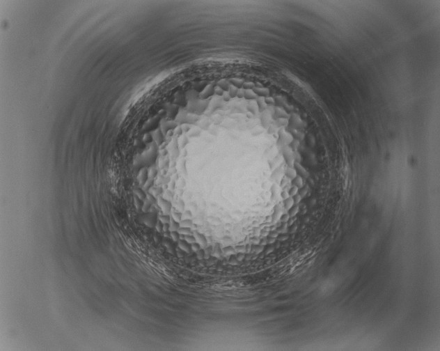 X0000056020823200509021753