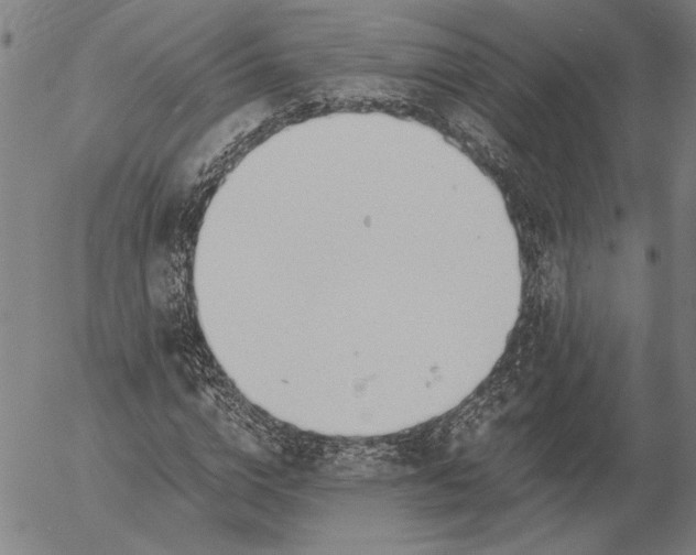 X0000056020824200509021753