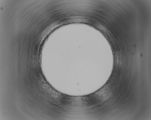 X0000056020828200509021753