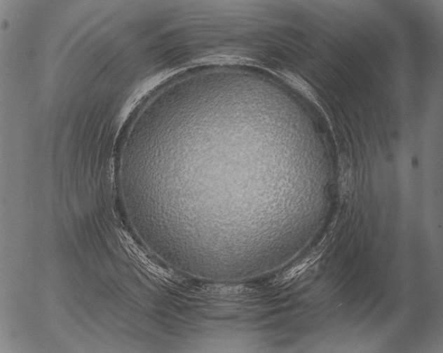 X0000056020831200509021753