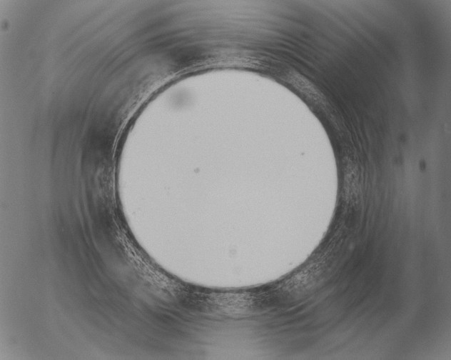 X0000056020836200509021753