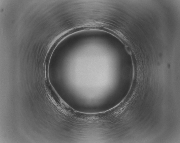 X0000056020838200509021753