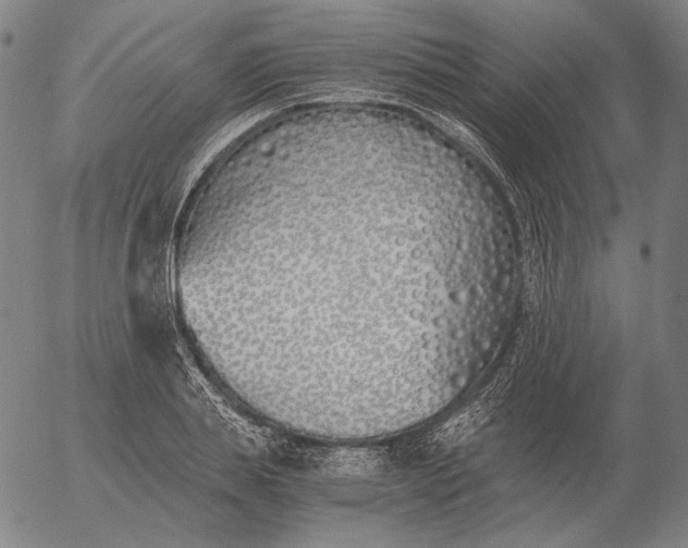 X0000056020839200509021753