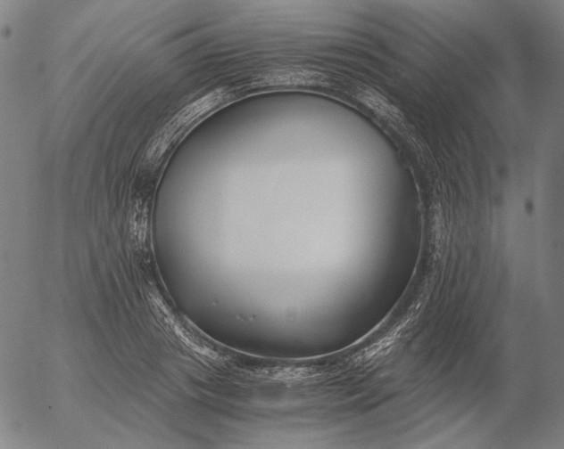X0000056020841200509021753