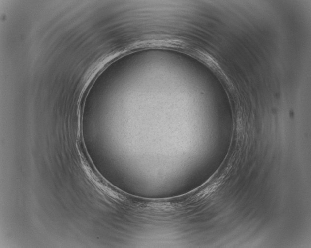 X0000056020844200509021753