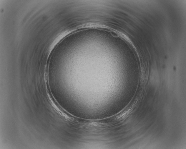 X0000056020847200509021753