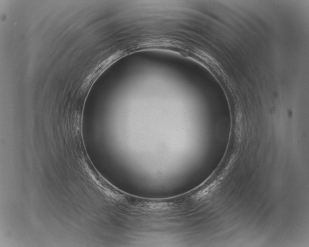 X0000056020849200509021754