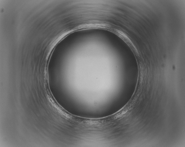 X0000056020852200509021754