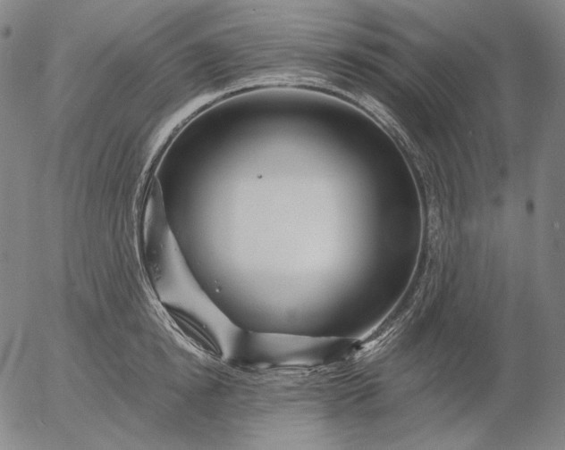 X0000056020854200509021754