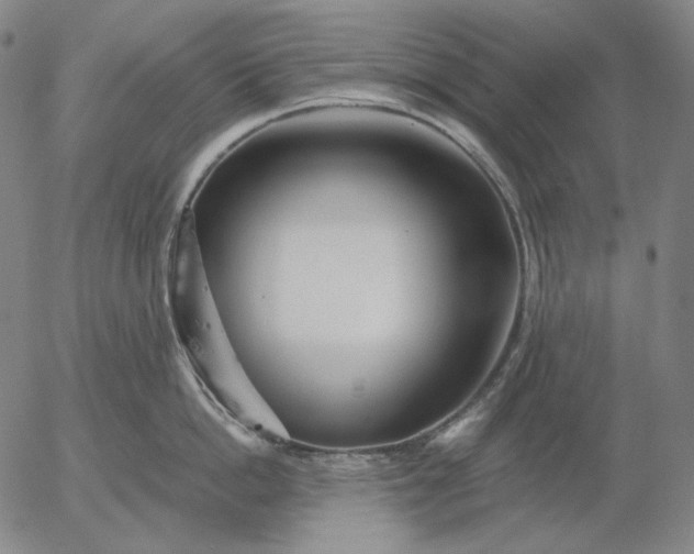 X0000056020862200509021754