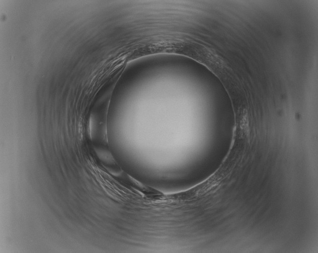 X0000056020868200509021753