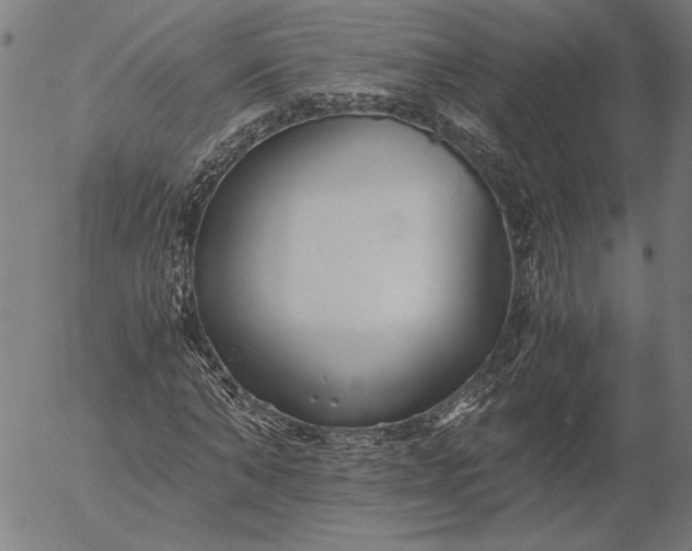 X0000056020870200509021753