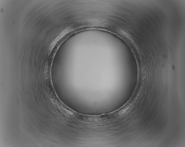 X0000056020875200509021753