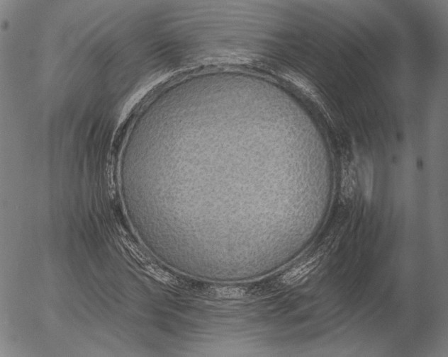 X0000056020878200509021753