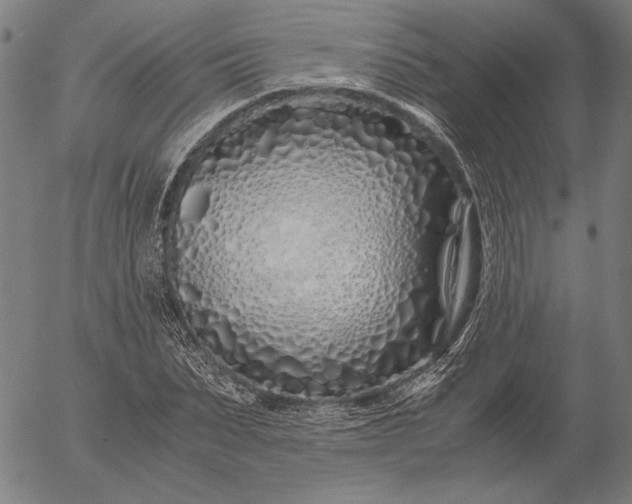 X0000056020879200509021753