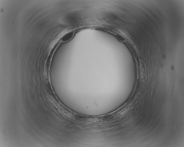 X0000056020883200509021753