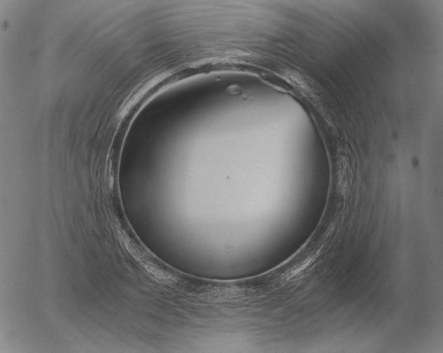 X0000056020885200509021753