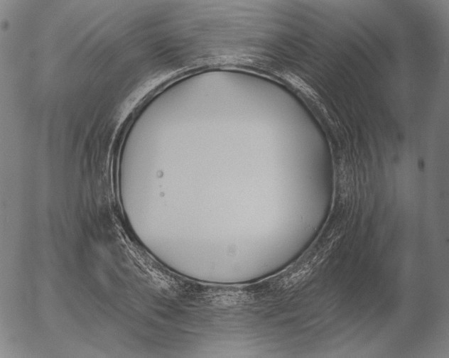 X0000056020886200509021753