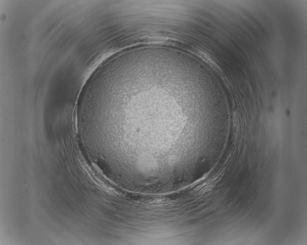 X0000056020891200509021753