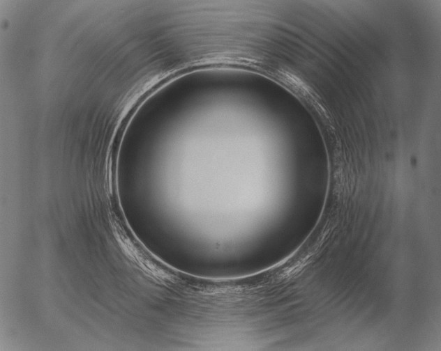 X0000056020892200509021753