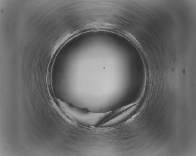 X0000056020893200509021752