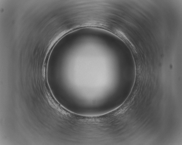 X0000056020900200509021752