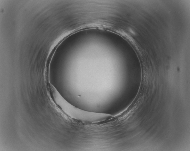 X0000056020902200509021752