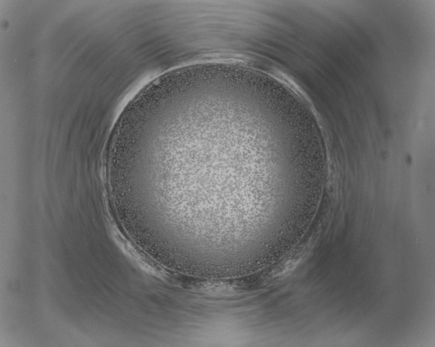 X0000056020907200509021752
