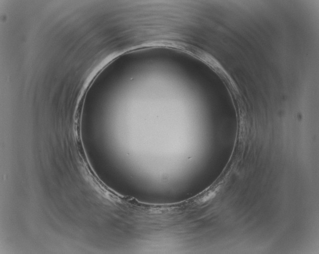 X0000056020908200509021752