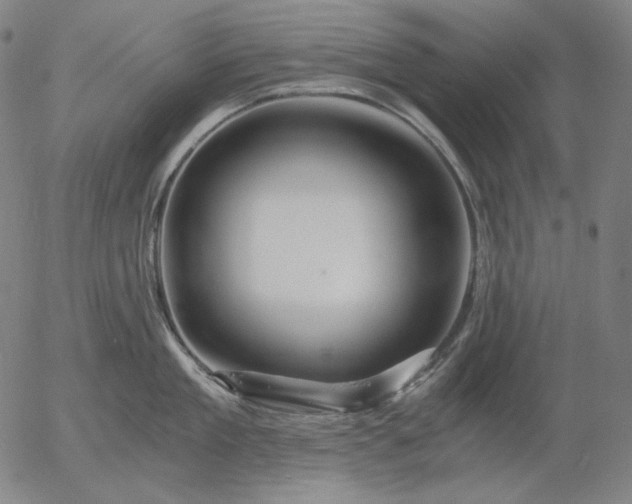 X0000056020909200509021752