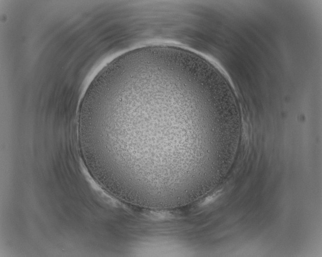 X0000056020911200509021752