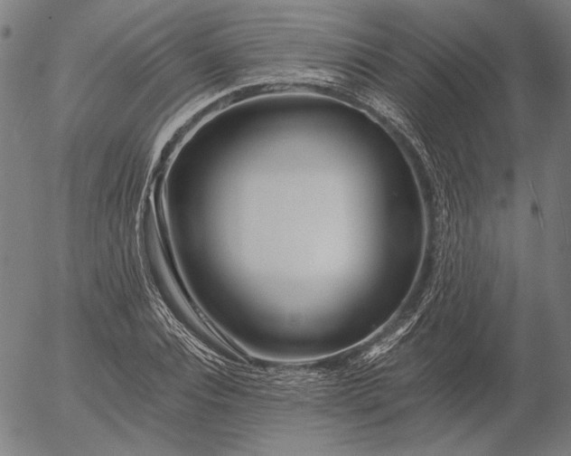 X0000056020928200509021752