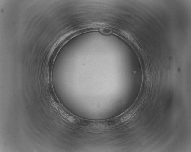 X0000056020931200509021752